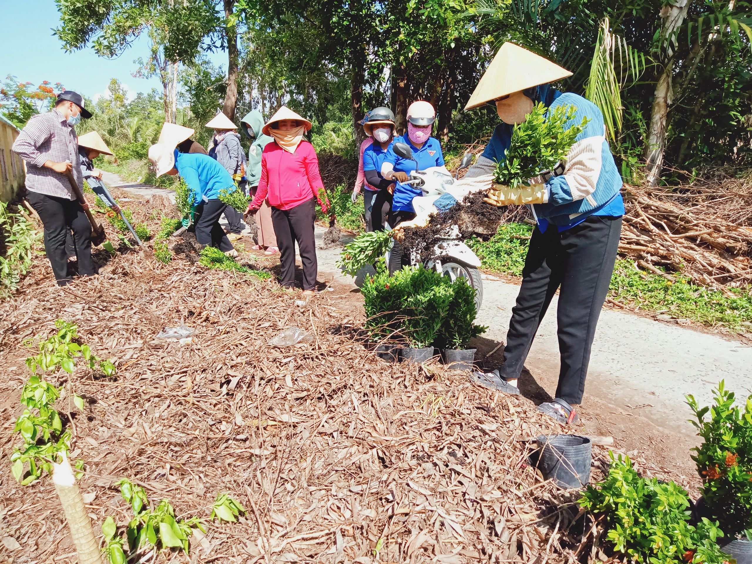 Trường Mầm non Mỹ Phước ra quân dọn dẹp, trồng hoa cặp tuyến lộ bên ngoài khuôn viên trường